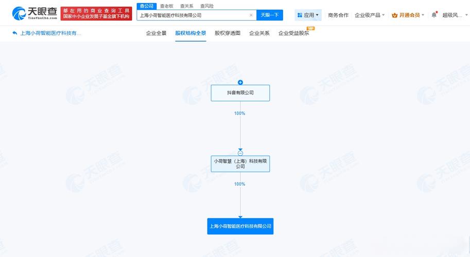 十万启新程 软件开发与人工智能应用软件开发公司的成长路径